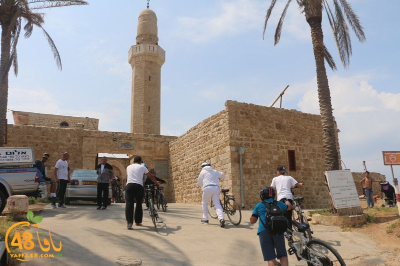 hertslaiaya hai2a (68).jpg